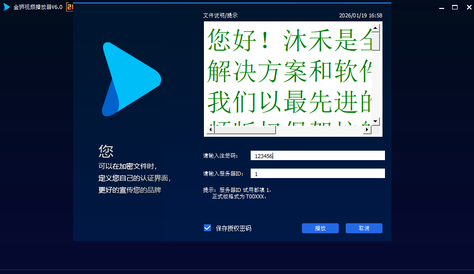 金狮播放器