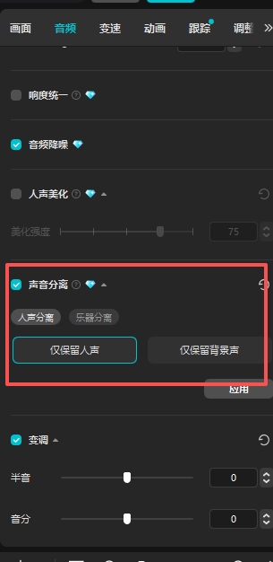 剪映音频