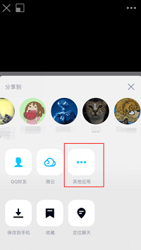 其他应用